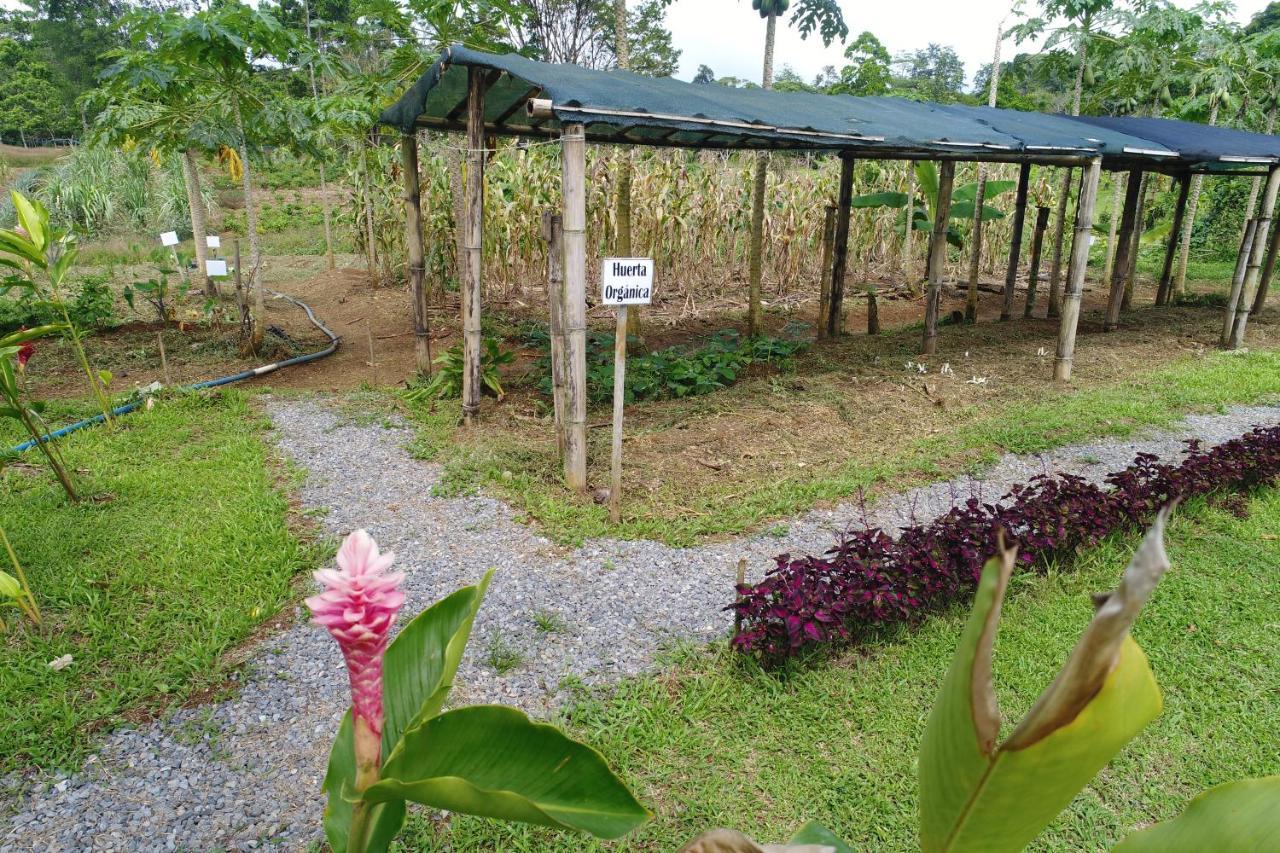 Hope Garden, Sarapiqui, We Connect You With The Sarapiqui Tropical Forest Exteriér fotografie