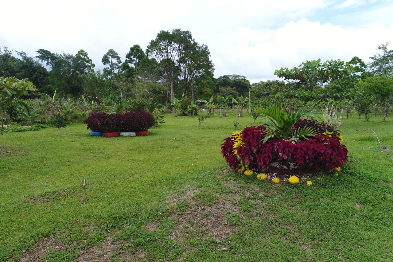 Hope Garden, Sarapiqui, We Connect You With The Sarapiqui Tropical Forest Exteriér fotografie
