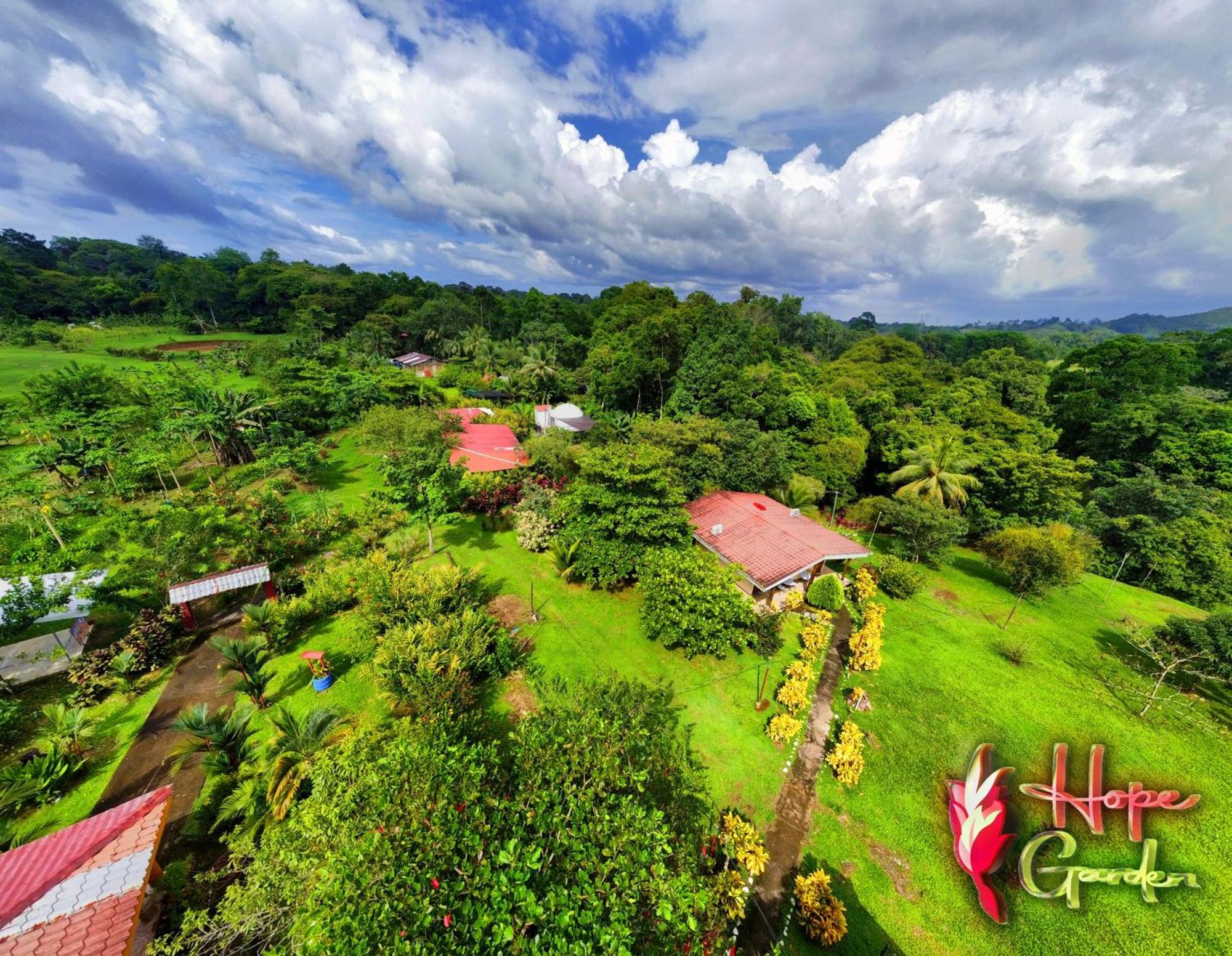 Hope Garden, Sarapiqui, We Connect You With The Sarapiqui Tropical Forest Exteriér fotografie
