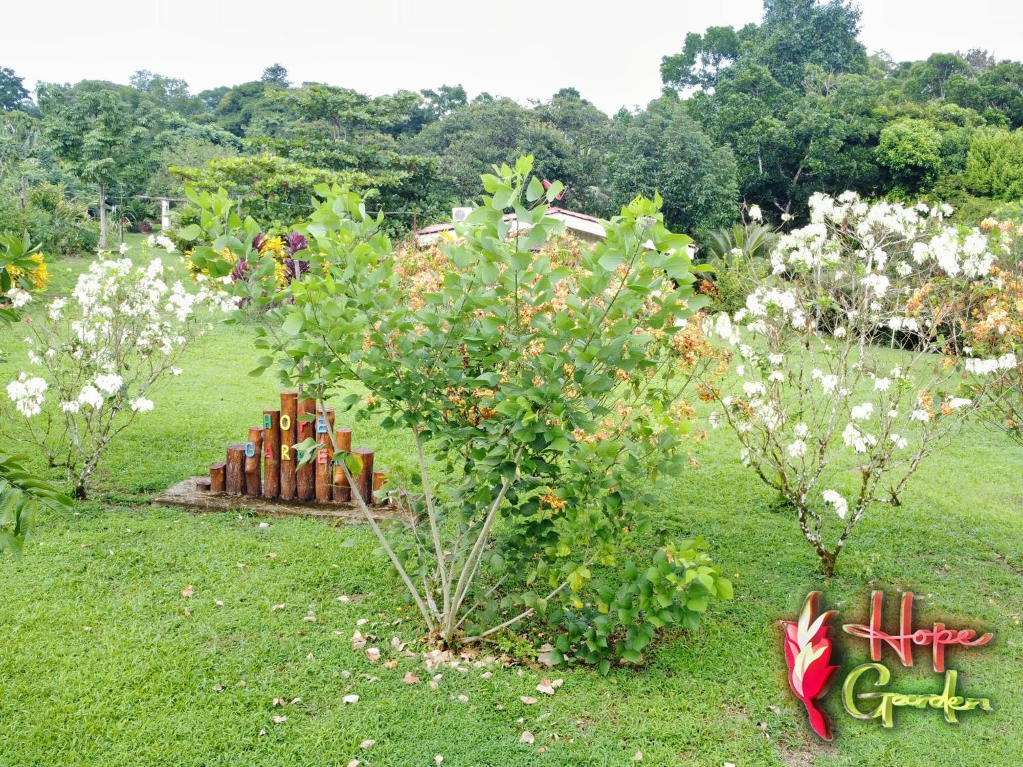 Hope Garden, Sarapiqui, We Connect You With The Sarapiqui Tropical Forest Exteriér fotografie