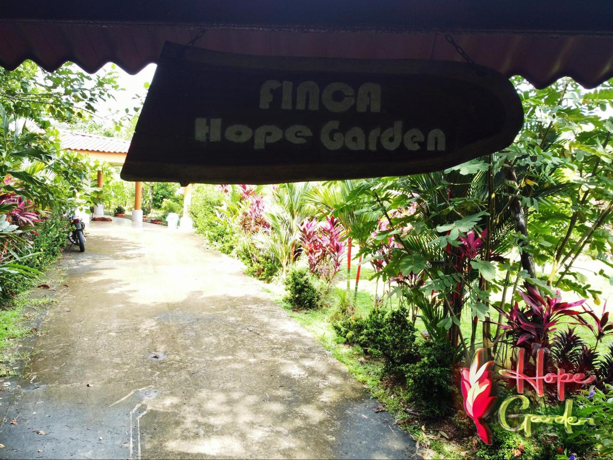 Hope Garden, Sarapiqui, We Connect You With The Sarapiqui Tropical Forest Exteriér fotografie