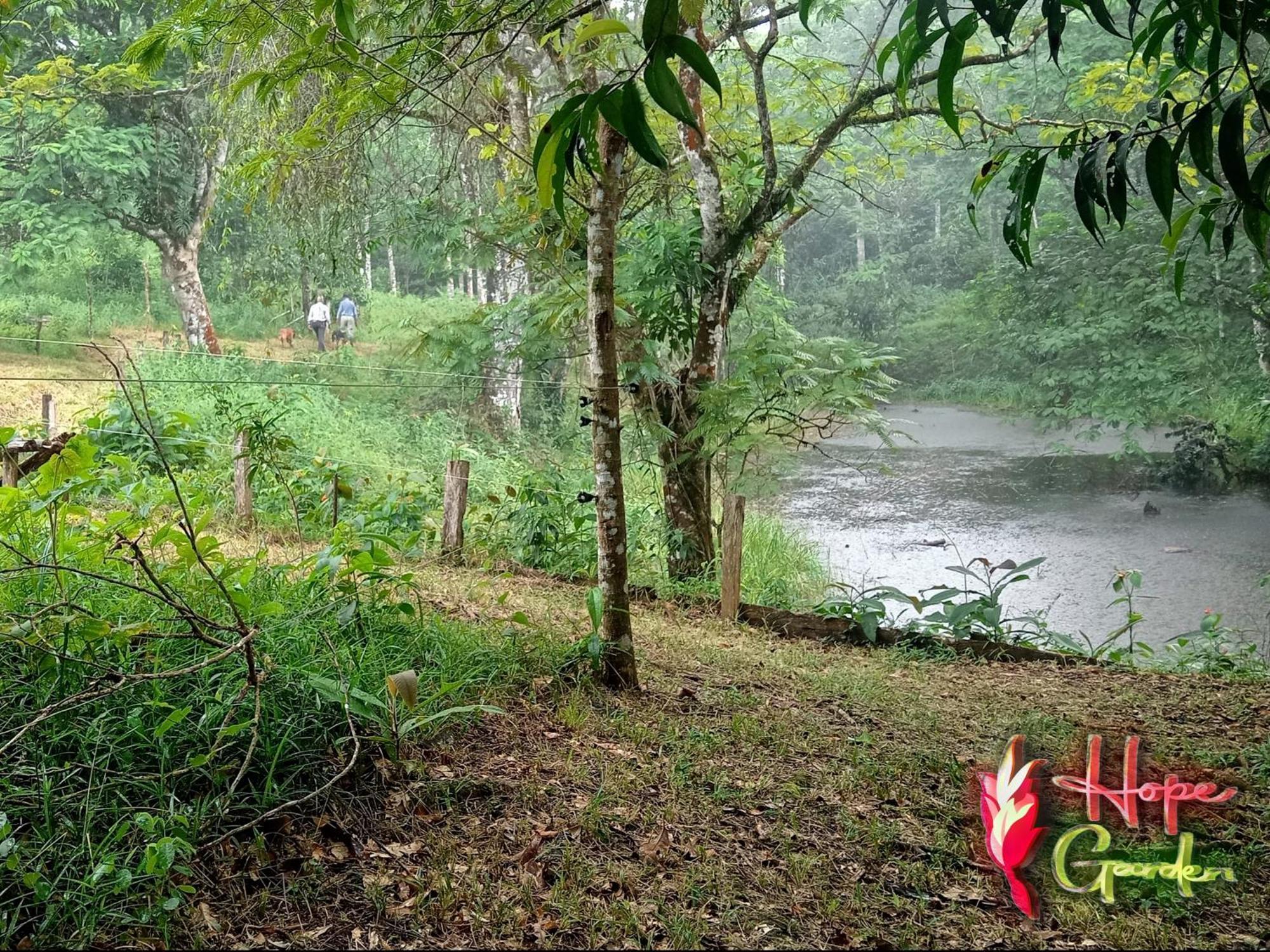 Hope Garden, Sarapiqui, We Connect You With The Sarapiqui Tropical Forest Exteriér fotografie