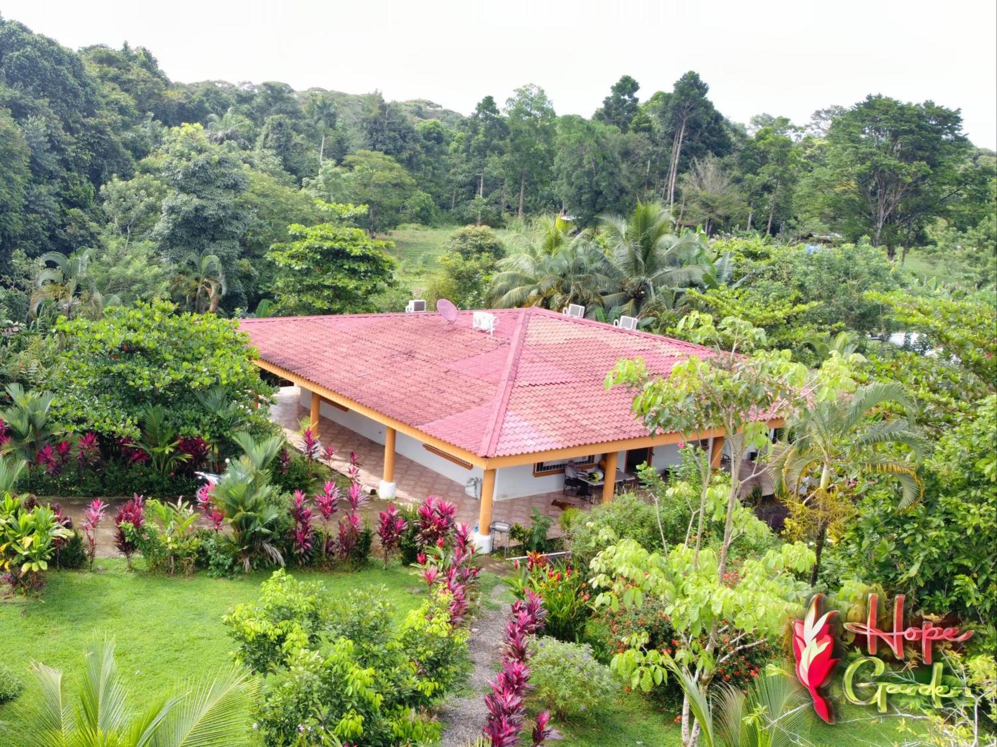 Hope Garden, Sarapiqui, We Connect You With The Sarapiqui Tropical Forest Exteriér fotografie