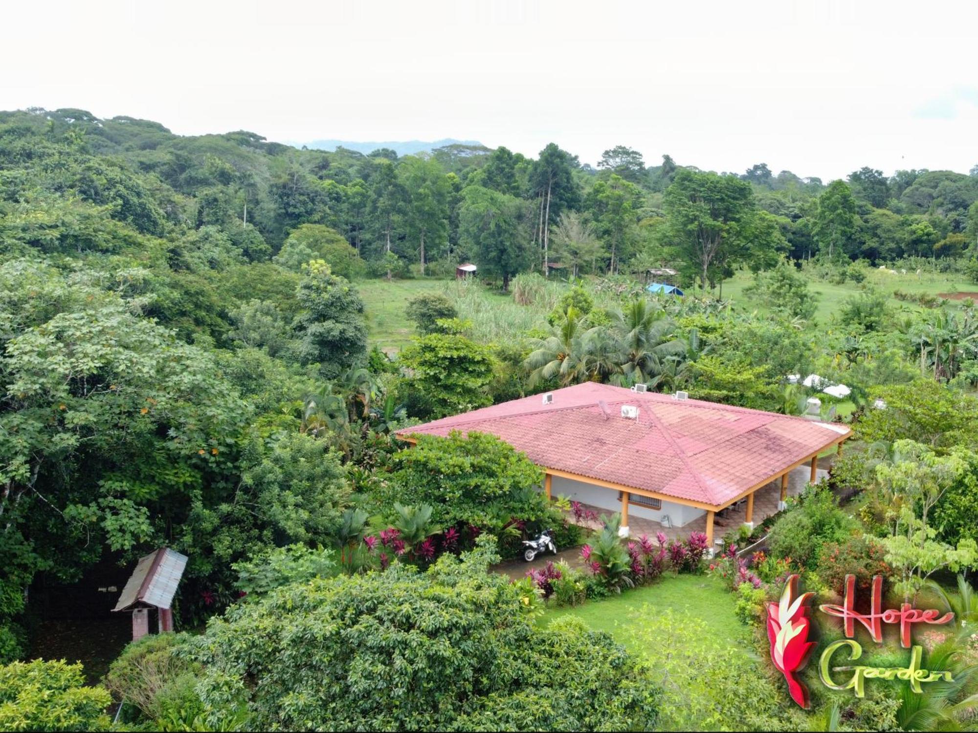 Hope Garden, Sarapiqui, We Connect You With The Sarapiqui Tropical Forest Exteriér fotografie