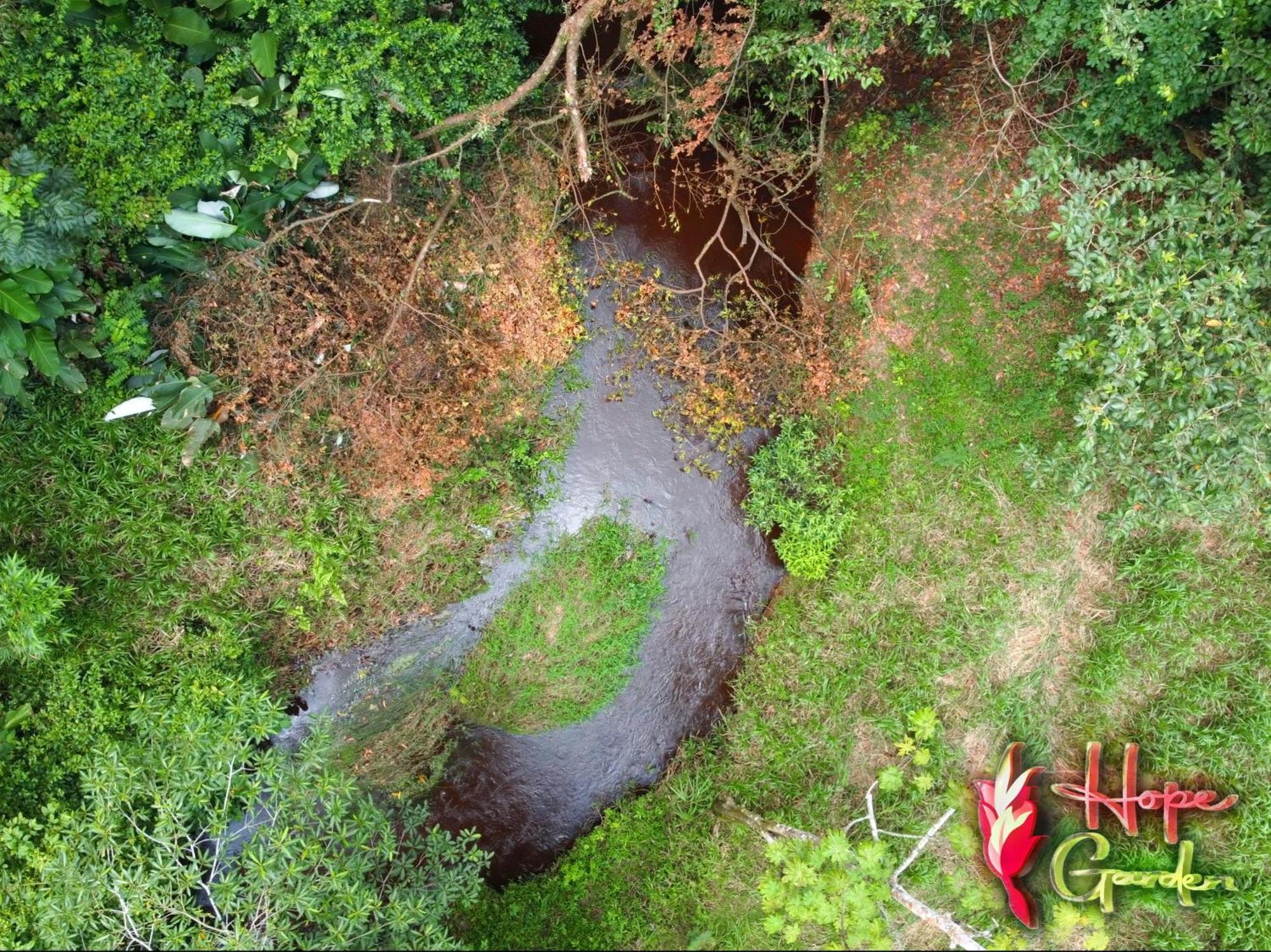 Hope Garden, Sarapiqui, We Connect You With The Sarapiqui Tropical Forest Exteriér fotografie