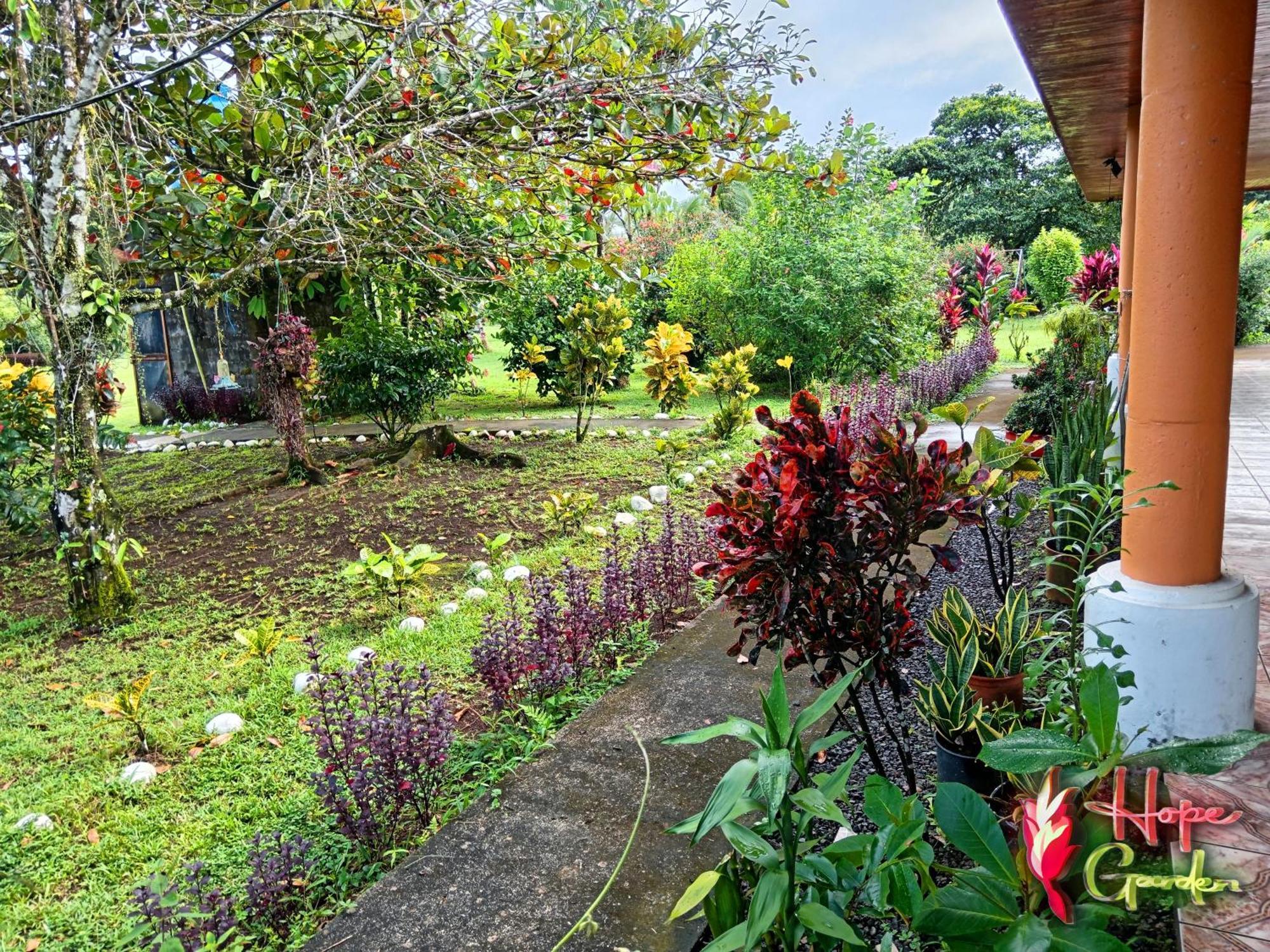 Hope Garden, Sarapiqui, We Connect You With The Sarapiqui Tropical Forest Exteriér fotografie